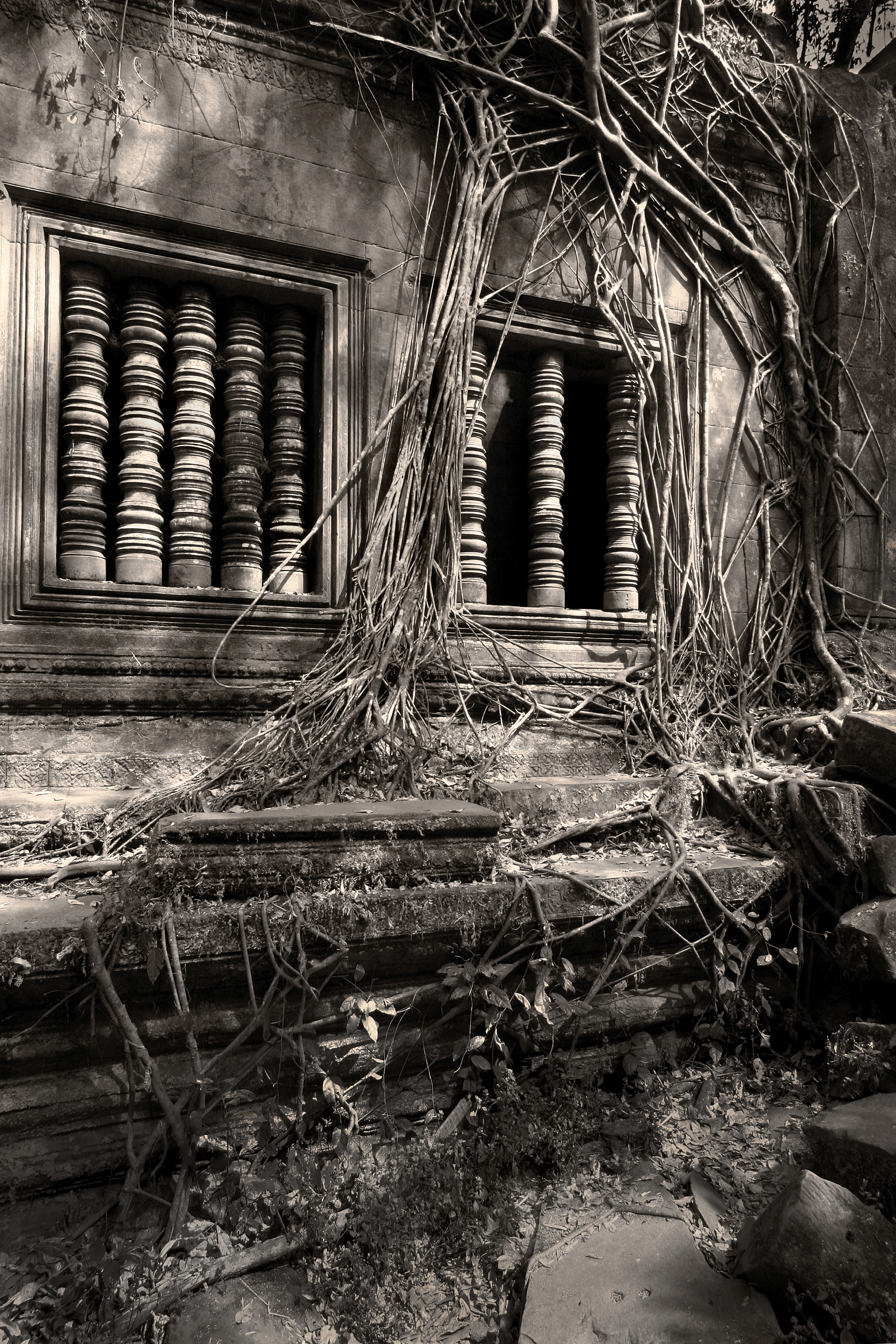 Cisza z cyklu Angkor - Moc mieszka w kamieniach i drzewach